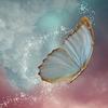 Profile Picture of Sharon Morrison (@@smorrison00) on Tiktok