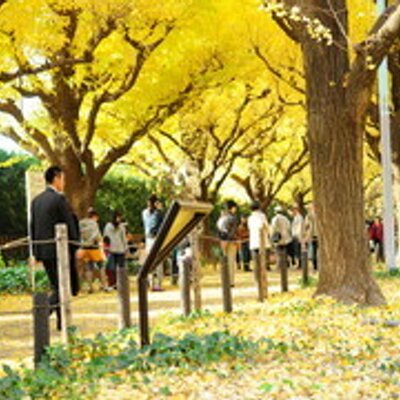 Profile Picture of Kenji Ota (@aDay_aLife) on Twitter