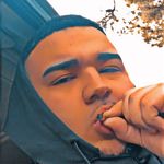 Alec Martinez - Instagram Profile Picture of Alec Martinez (@alec_dabarber) on Instagram