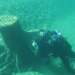 Profile Picture of Jerry Abbott (@jerry.abbott.1428) on Instagram