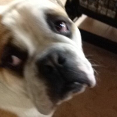 Profile Picture of James Perkins (@jimperkeyjetmx) on Twitter