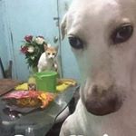 Profile Picture of Andres Isaac (@andres.isaac.984) on Instagram