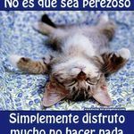 Profile Picture of daniel deprez (@deprez17) on Instagram