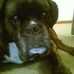 Profile Picture of Buddy Rutter (@buddy.rutter) on Facebook