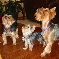 Profile Picture of Daniel Barnard (@daniel-barnard-7) on Quora