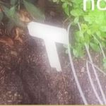 Profile Picture of Tony Navas (@tonynavasfc) on Instagram