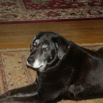 Profile Picture of Jim Gagnon (@JimmyGagnon) on Twitter