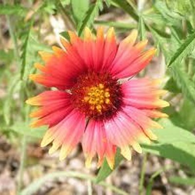 Aidan Morgan - Twitter Profile Picture of Aidan Morgan (@aidanmorgan1) on Twitter