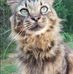 Profile Picture of Gary Stapp (@gary.stapp.90) on Facebook