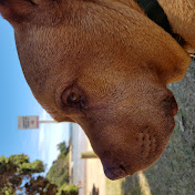 Profile Picture of Mark Drennan (@markdrennan388) on Youtube