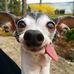 Profile Picture of Raymond Closter (@raymond.closter.5) on Facebook