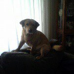 Profile Picture of Peter Perrodou (@perrodoupeter19) on Instagram