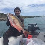 Profile Picture of Todd Herbert (@todd.herbert._59.5) on Instagram