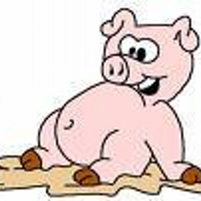 Profile Picture of Mike Pigott (@mikepig) on Twitter
