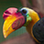 Profile Picture of Sdbphotos (@sdbphotos) on Flickr