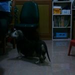 Profile Picture of raymond     poon     ka (@raymondpoonka) on Instagram