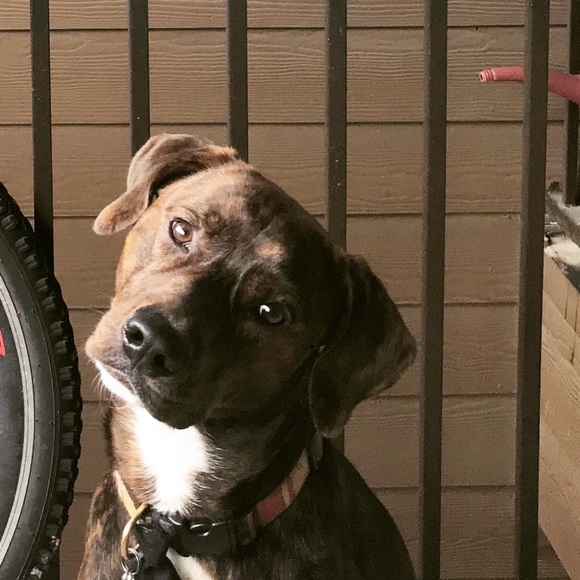 Profile Picture of Zach Manzano (@zano361) on Poshmark