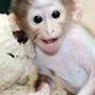 Profile Picture of Matthew Simkins (@matthewsimkins) on Twitter