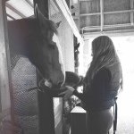 Profile Picture of Maddy Colteaux (@equestrian__life98) on Instagram