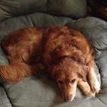 Profile Picture of Brandy Bogart (@bogartbrandy) on Instagram