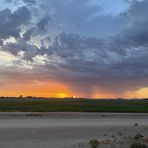 Profile Picture of Albert Moras (@Albert-Moras) on Facebook