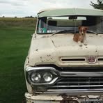 Profile Picture of Luis Gatti (@luis.gatti.351) on Facebook