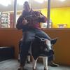Profile Picture of Trevor Webb (@@mistawebb) on Tiktok
