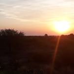 Profile Picture of Juan Manuel Bracamonte Suarez (@bracamontesuarez) on Instagram