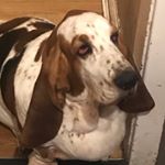 Profile Picture of Sean Eley (@nakedwiseman_0) on Instagram