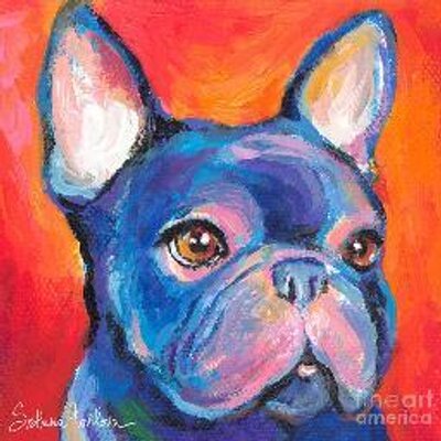 Profile Picture of Mark DeVoe (@MarkDeVoe) on Twitter