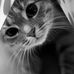 Profile Picture of Cherry Popp (@cherry.popp.12) on Facebook