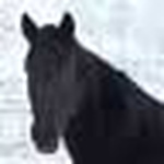 Profile Picture of Kevin Wiley (@kjwileynm) on Flickr
