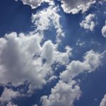 Profile Picture of Marion bradice (@marionbradice) on Instagram