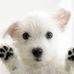 Profile Picture of Jana Alurac (@Jana-Alurac) on Facebook