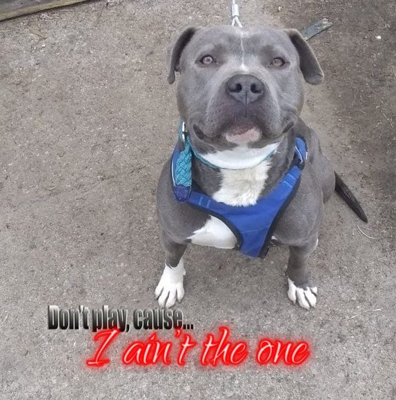 Profile Picture of Querone Bolds (@boldsquerone62) on Poshmark