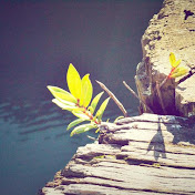 Profile Picture of Edward Boyd (@edwardboyd2040) on Youtube