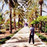 Profile Picture of Dennis (@dennisjannsen) on Instagram