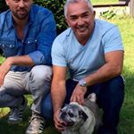 Profile Picture of English/español (@cesarmilanfans) on Instagram