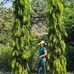 Profile Picture of Andreiita Collado (@andrea.collado.5680) on Facebook