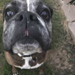 Brandy Cromwell Art - Instagram Profile Picture of Brandy Cromwell Art (@brandycromwellart) on Instagram