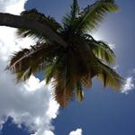 Profile Picture of Robert Ridgeway (@ridge_waay) on Instagram