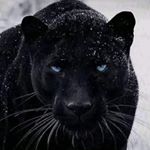 Profile Picture of la china (@mari_lopez_corona) on Instagram