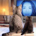 Profile Picture of Rocio Salgado (@rocio_salgado) on Instagram