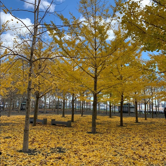 Profile Picture of Orhan Cakir (@orhancakir) on Poshmark