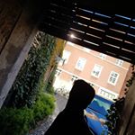 Profile Picture of Joey Caputo (@joey.caputo1) on Instagram