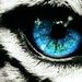 Profile Picture of Filip Worytko (@filipworytko) on Pinterest