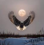 Profile Picture of Randy Gilland (@randy.gilland) on Facebook