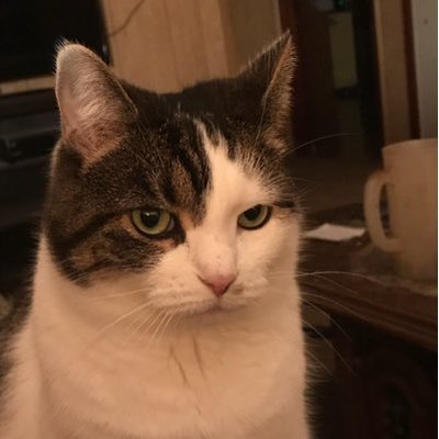 Profile Picture of Brent The Best (@berger_brent) on Twitter