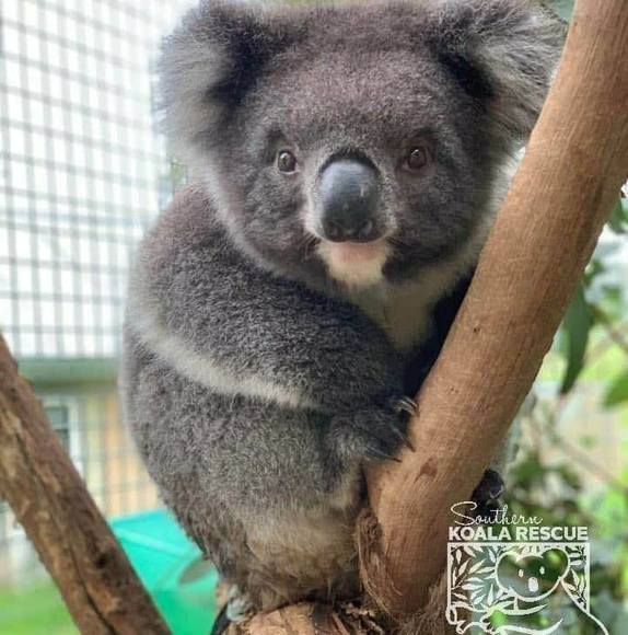 Profile Picture of Lorrie Mrozowski (@lorrmm) on Poshmark