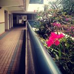 Profile Picture of Lam Shek Chung Cedric (@cedriclam1208) on Instagram